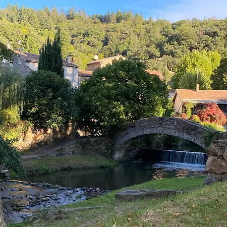 Rose Lamalou-les-Bains