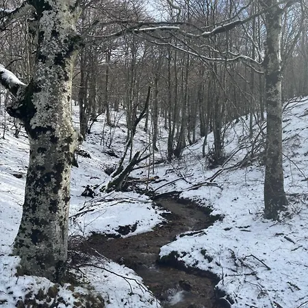 Apartament Rose Lamalou-les-Bains