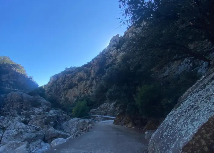 Rose * لامالو-ليه-بان