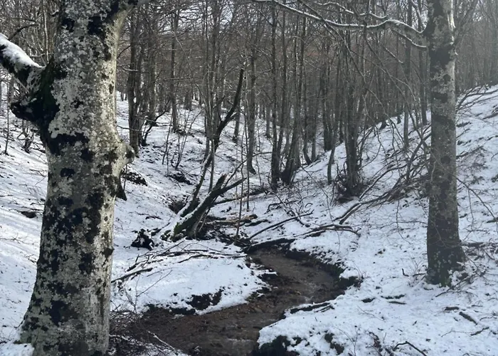 شقة Rose لامالو-ليه-بان